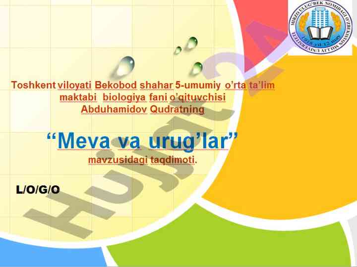 Meva turlari va ularning hosil bo'lishi