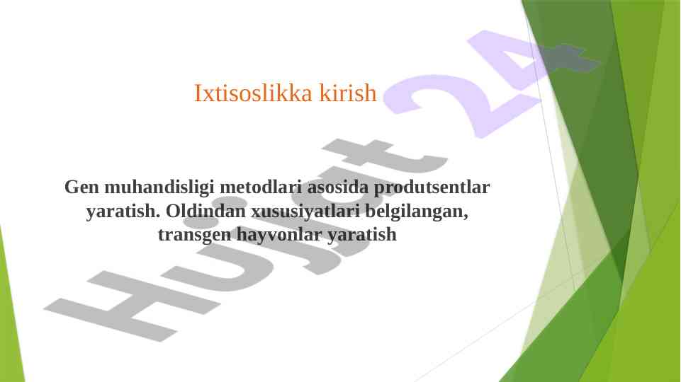 Transgen organizmlarni yaratish metodlari
