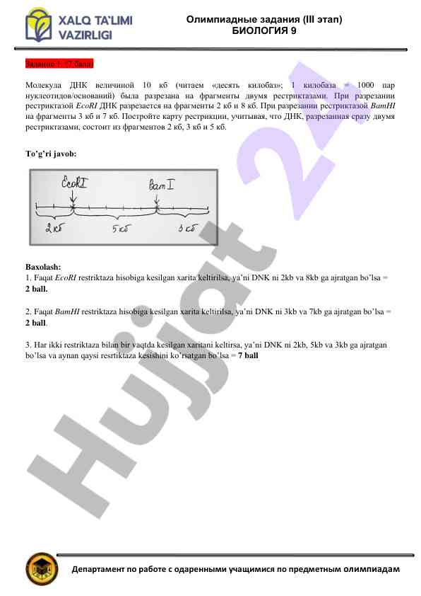 Olympiad tasks for biology 9 stage iii