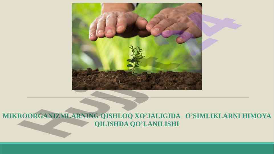 Mikroorganizmlarning o'simlik himoyasidagi roli