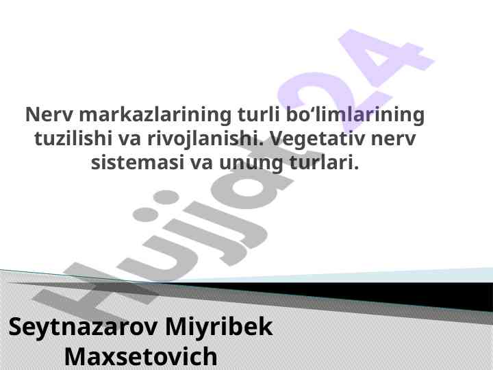 Nerv markazlarining tuzilishi va rivojlanishi