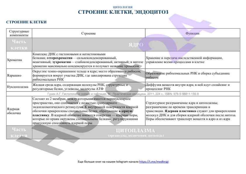 Цитология строение клетки и эндоцитоз функции