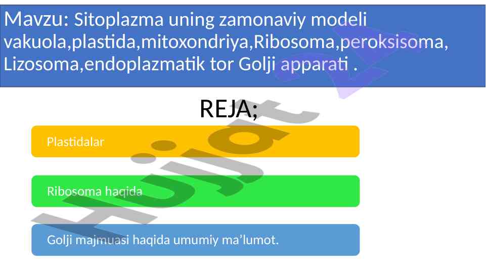 Sitoplazma va uning zamonaviy modeli