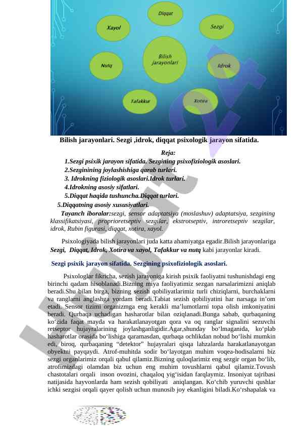 Bilish jarayonlari va psixologik asoslari