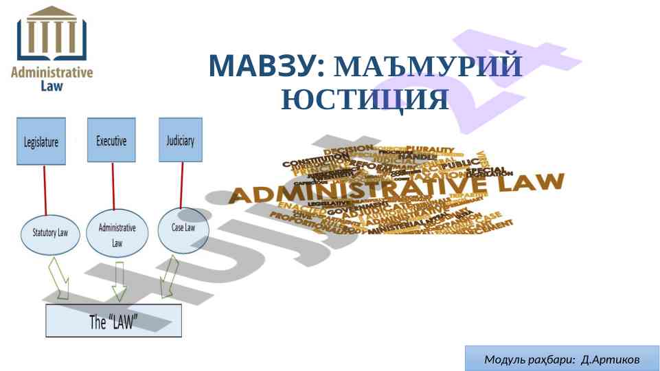 Ma'muriy yustitsiya tizimi va shakllari