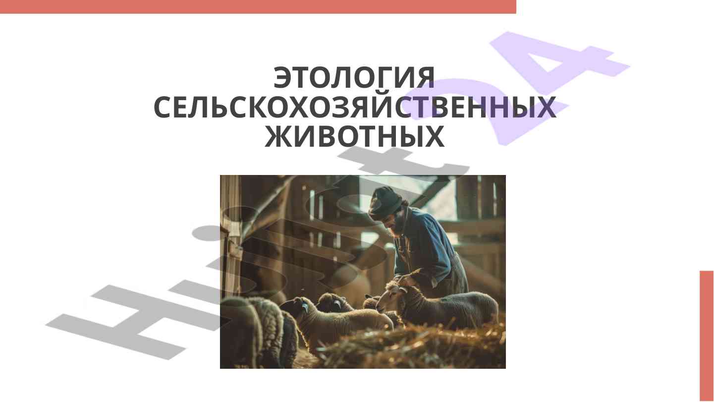 Этология сельскохозяйственных животных и виды поведения