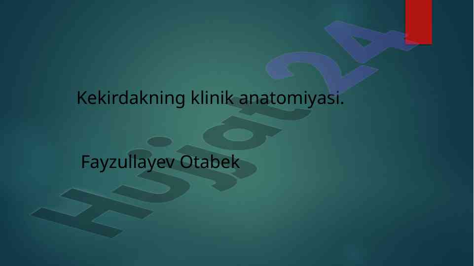 Kekirdakning klinik anatomiyasi va tuzilishi