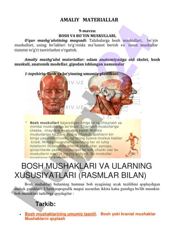 Bosh va bo'yin muskullari haqida amaliy mashg'ulot
