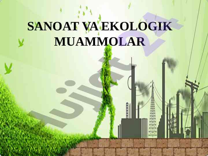 Sanoat va ekologik muammolar analysis