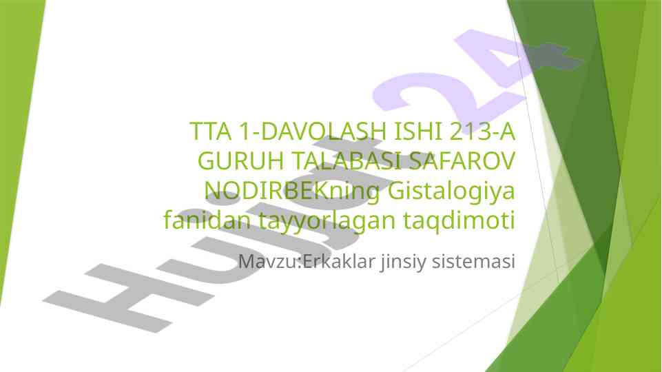 Erkaklar jinsiy sistemasining taqdimoti