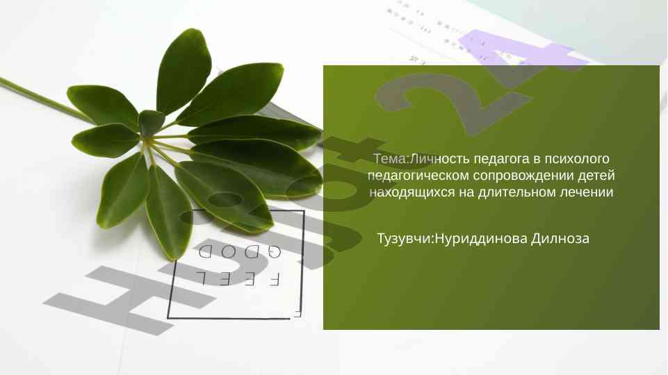 Личность педагога в психолого педагогическом сопровождении