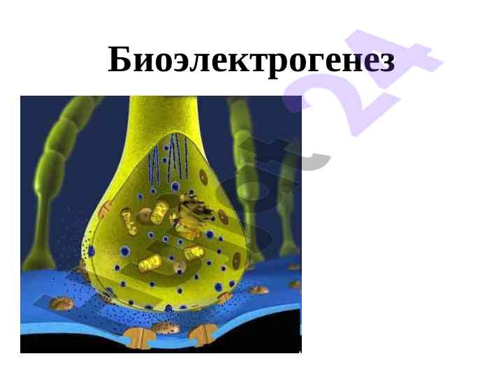 O‘rnatilgan dizaynni o‘rganish