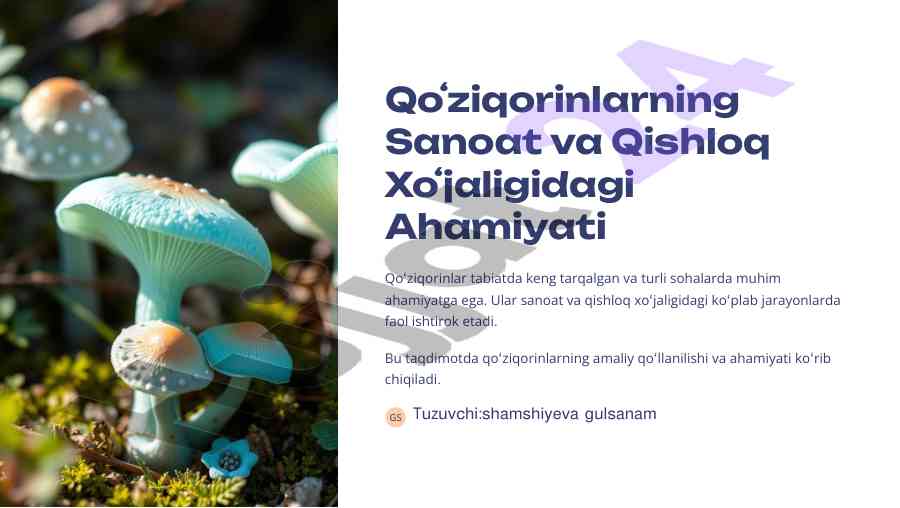Qo'ziqorinlarning sanoat va qishloq xo'jaligidagi ahamiyati