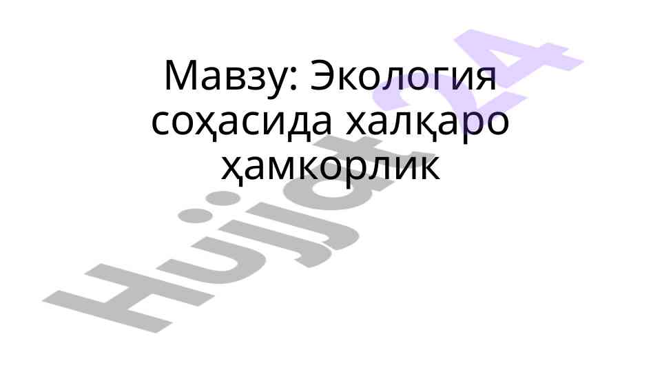 Ekologiya sohasida xalqaro hamkorlik