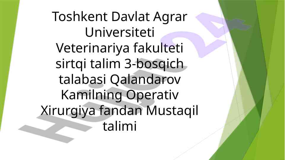 Otlarni axtalashda fiksatsiya va sedatsiya