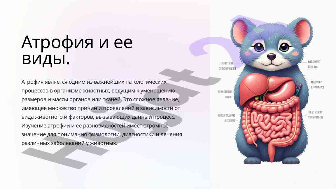 Атрофия и ее виды в патологии животных