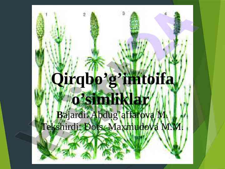 O'simliklar sinflari va ularning xususiyatlari