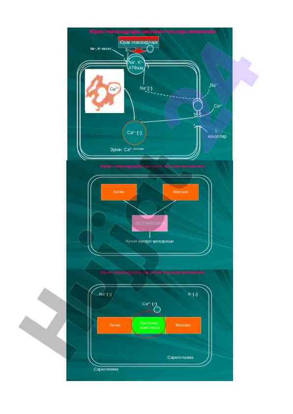 Cardiotonic drug classification methods