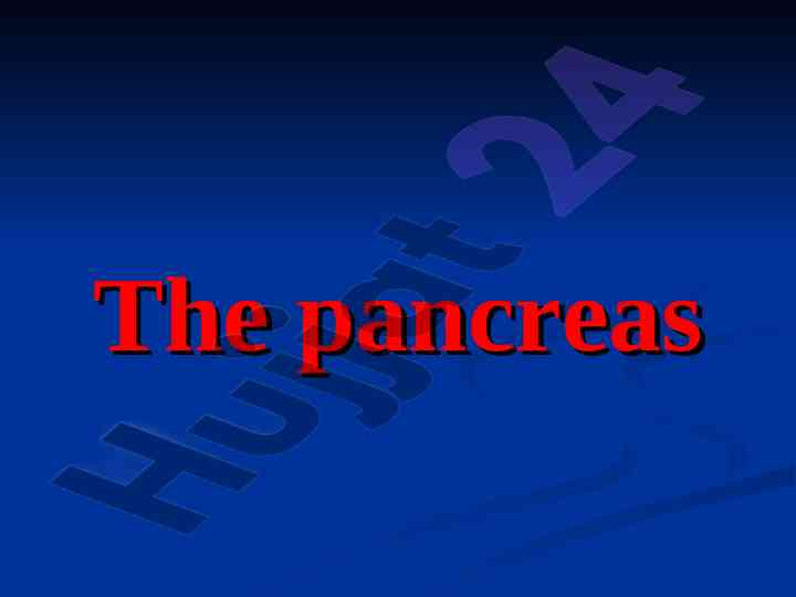Pancreas functions and digestive enzymes overview