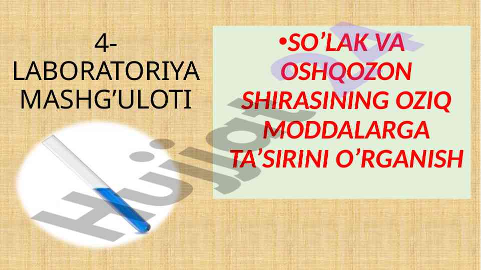 So‘lak va oshqozon shirasi oziq moddalar ta’siri