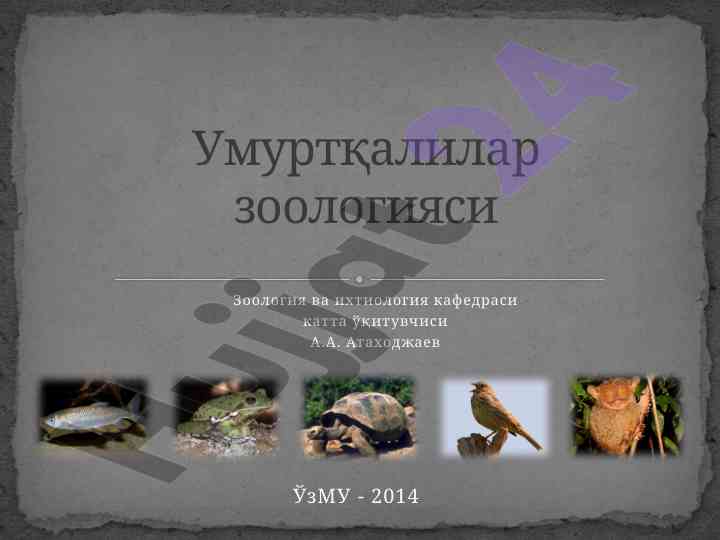 Umurtqalilar zoologiyasi kafedrasi tadqiqotlari