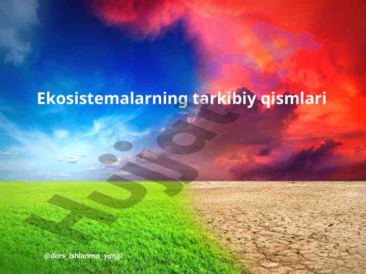 Ekosistemalarning tarkibiy qismlari va biogeotsenozlar