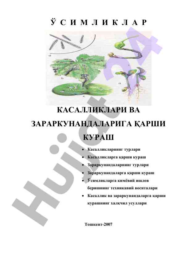 Ўсимликлар касалликларига қарши кураш усуллари