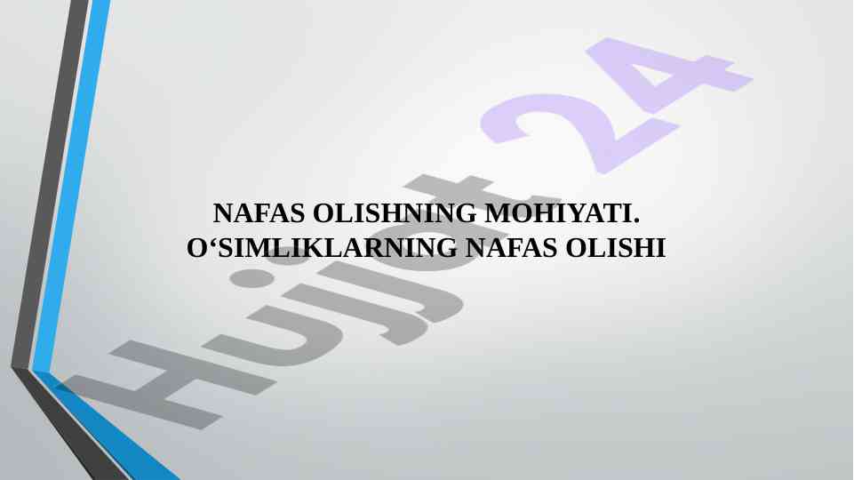 Nafas olishning mohiyati o‘simliklar bilan