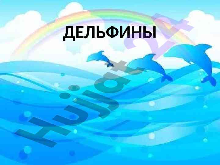 Дельфины как интеллектуальные животные