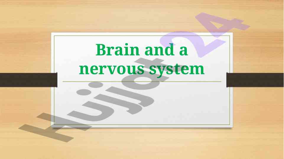 Understanding the human nervous system and brain function