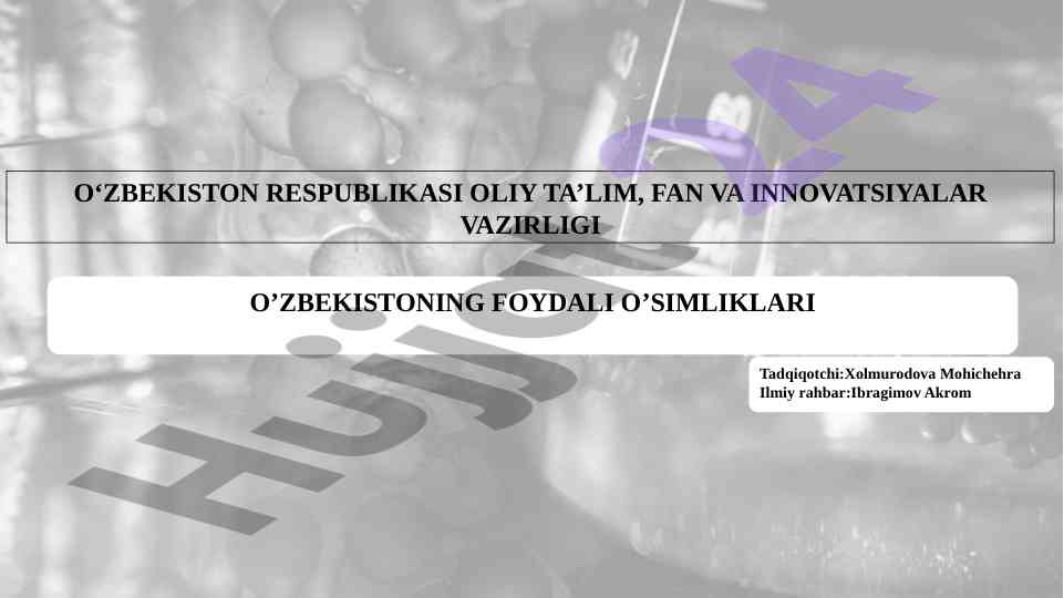 O'zbekistondagi foydali o'simliklar tadqiqoti