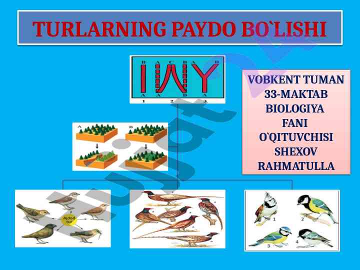 Turlar paydo bo'lishi asosiy usullari