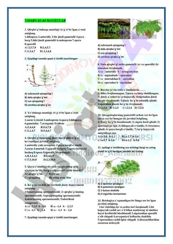 Qirqbo'g'imlar bo'yicha test savollari
