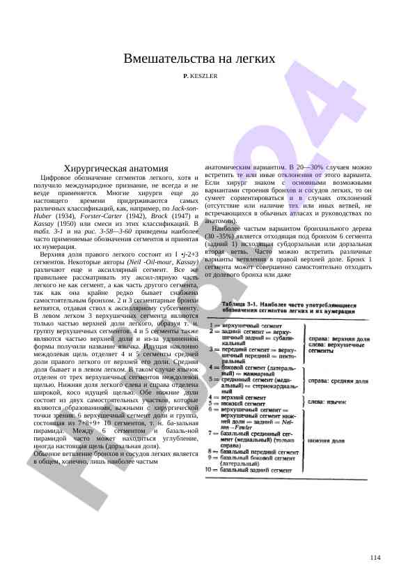 Хирургическая анатомия обозначение сегментов легкого