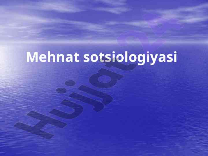 Mehnat sotsiologiyasi va uning asoslari