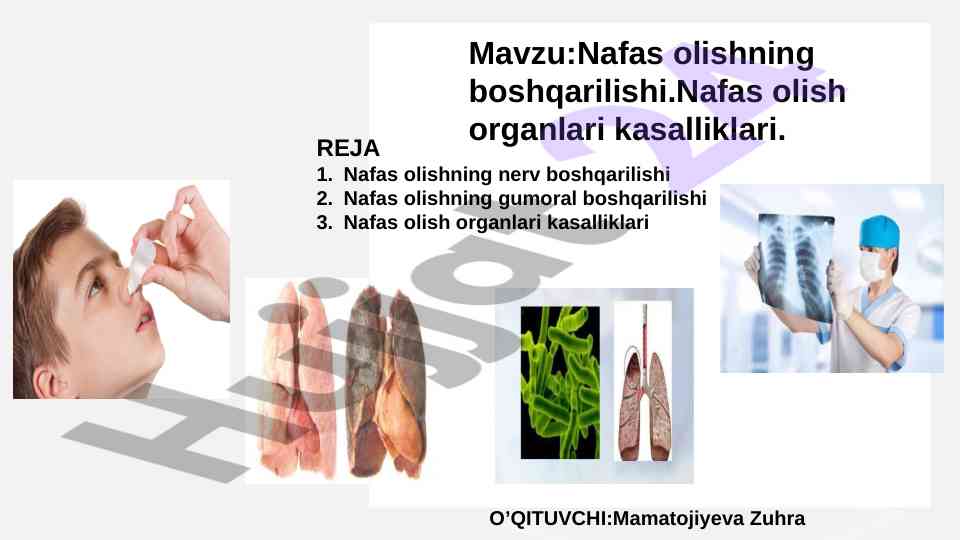 Nafas olishning boshqarilishi va kasalliklari