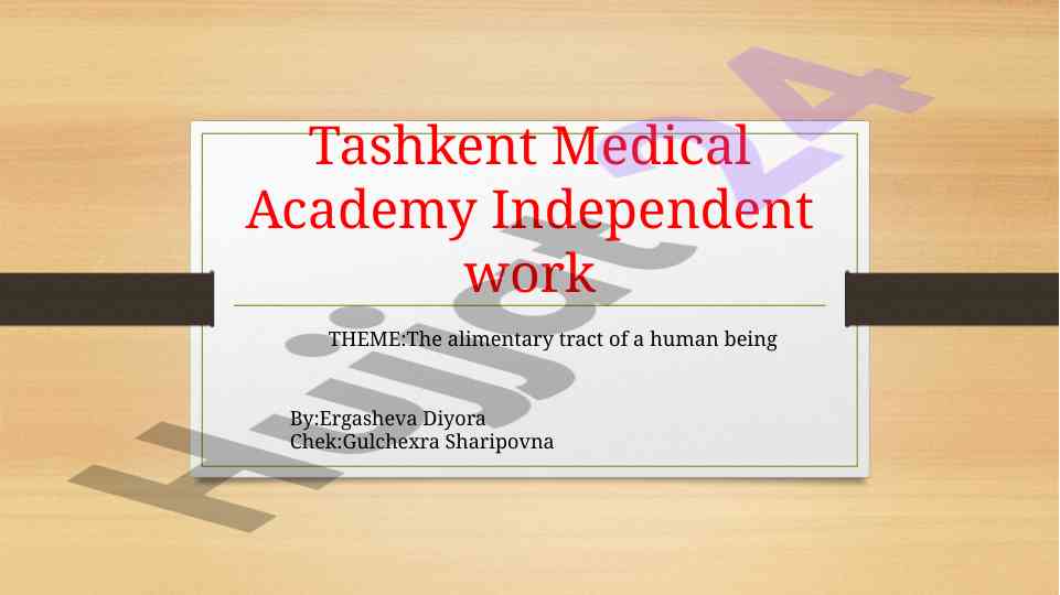 The alimentary tract of a human being overview