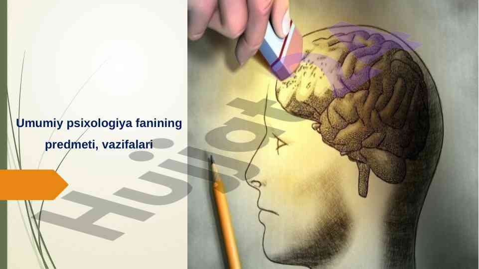Umumiy psixologiya fani o‘rganish rejasi