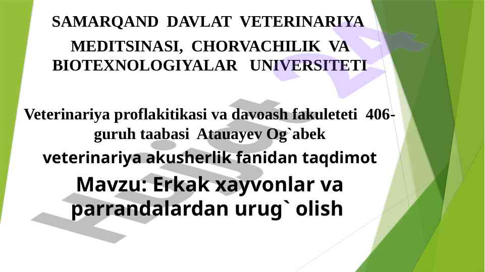 Erkak xayvonlar va parrandalardan urug' olish taqdimoti