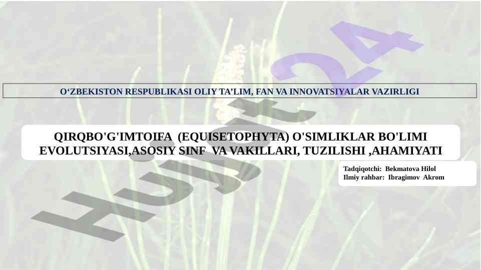 Qirqbo'g'imtoifa o'simliklari evolutsiyasi va ahamiyati