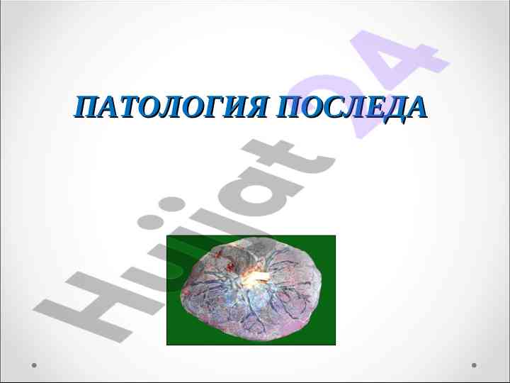 Роль плаценты в развитии плода и его функции