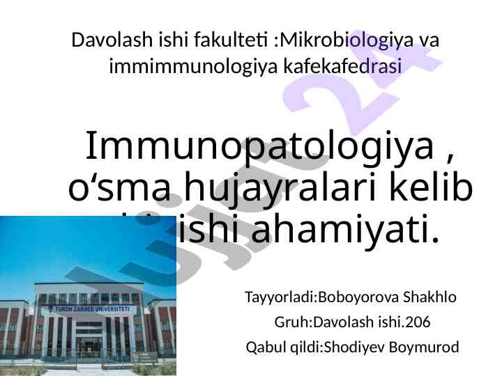 Immunopatologiya o‘sma hujayralari kelib chiqishi
