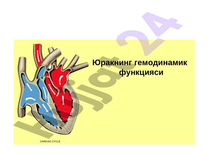 Юракнинг гемодинамик функцияси мафҳумлари