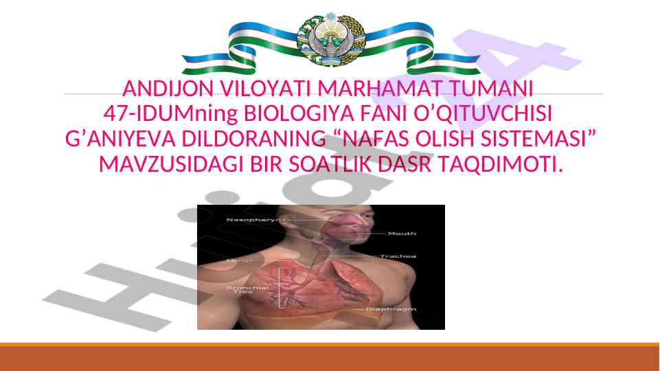 Nafas olish sistemasi mavzusidagi dars taqdimoti