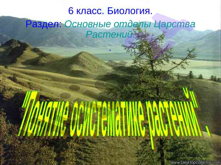 Osnovnye otdely tsarstva rasteniy biologiya