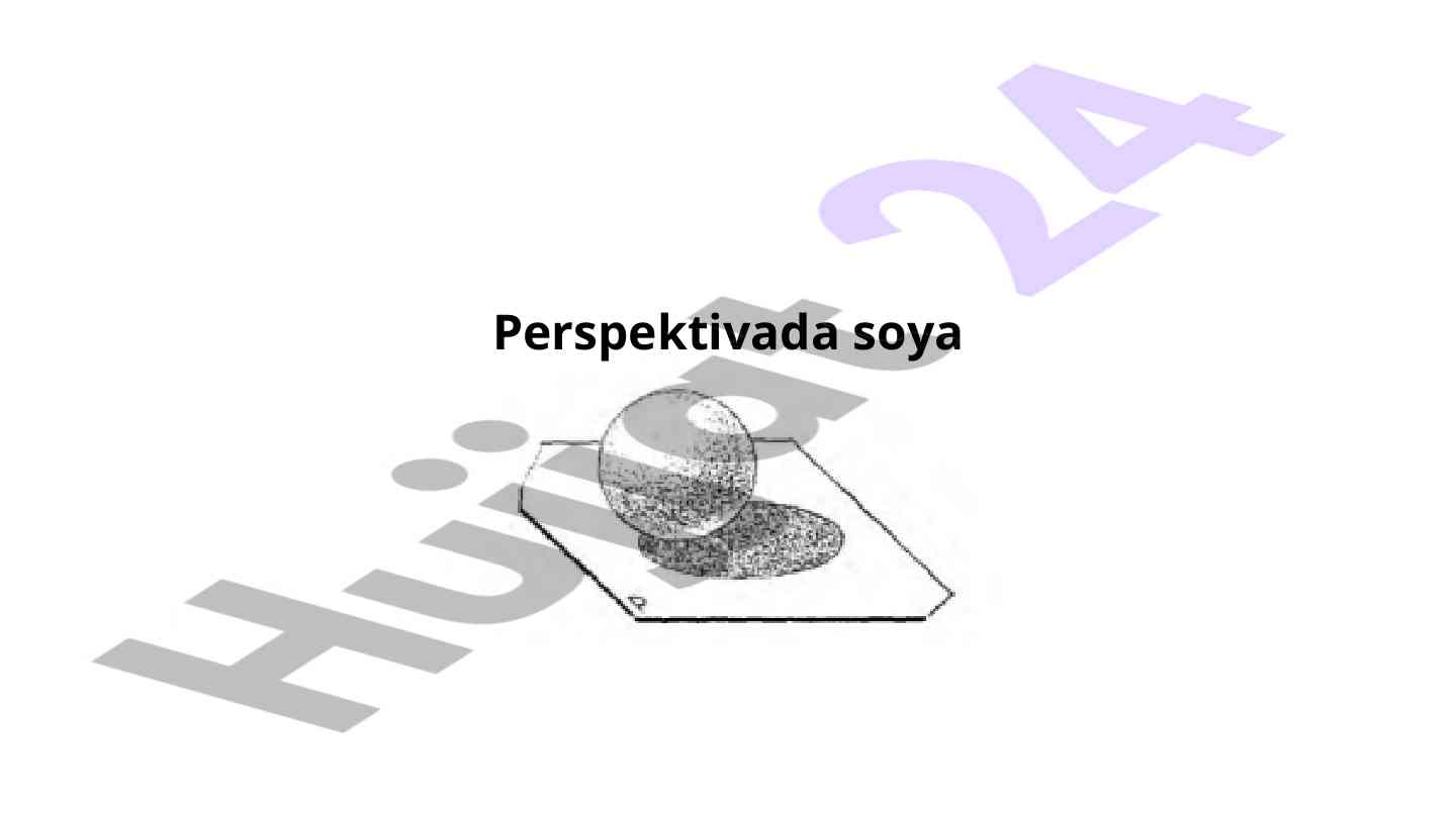 Perspektivada soya buyum tuzilishini aniqlash