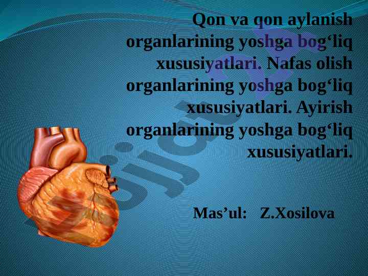 Qon va qon aylanish organlarining yoshga bog‘liq xususiyatlari