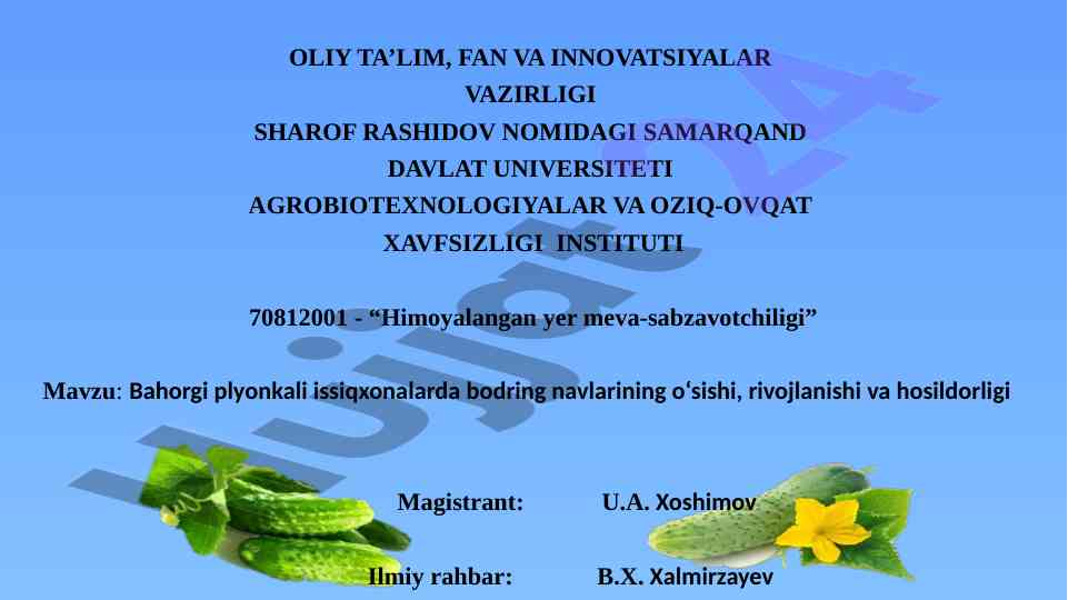 Bahorgi issiqxonalarda bodring navlarining rivojlanishi