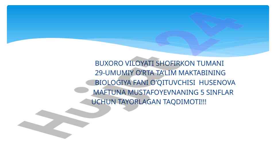 Dorivor o’simliklar taqdimoti va ularning foydalari