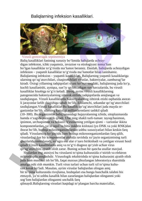 Baliqlarning infeksion kasalliklari va etiologiyasi